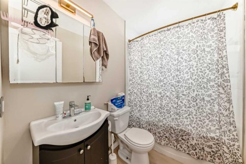 139 Bermuda Drive Nw, Calgary, AB - Indoor Photo Showing Bathroom