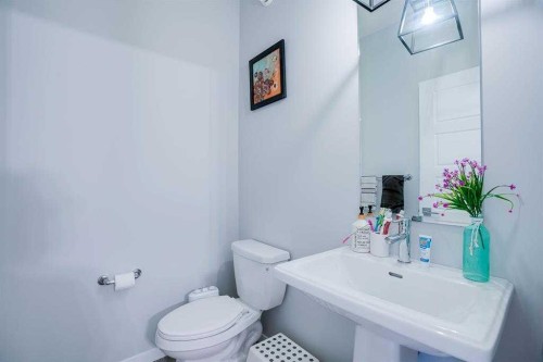 280 Cornerstone Grove Ne, Calgary, AB 