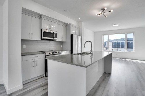239 Saddlepeace Crescent Ne, Calgary, AB - Indoor Photo Showing Kitchen With Double Sink With Upgraded Kitchen