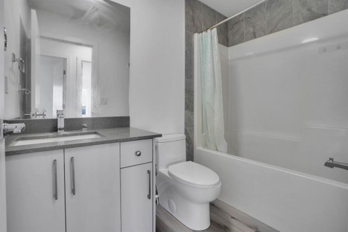 239 Saddlepeace Crescent Ne, Calgary, AB - Indoor Photo Showing Bathroom