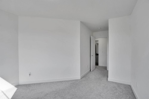 239 Saddlepeace Crescent Ne, Calgary, AB - Indoor Photo Showing Other Room