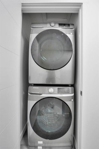 239 Saddlepeace Crescent Ne, Calgary, AB - Indoor Photo Showing Laundry Room