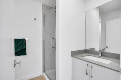 239 Saddlepeace Crescent Ne, Calgary, AB - Indoor Photo Showing Bathroom