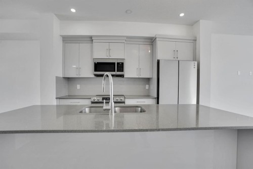 239 Saddlepeace Crescent Ne, Calgary, AB - Indoor Photo Showing Kitchen With Double Sink With Upgraded Kitchen