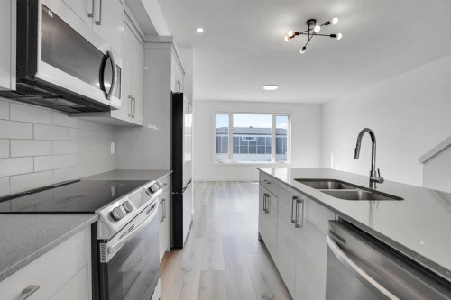 239 Saddlepeace Crescent Ne, Calgary, AB - Indoor Photo Showing Kitchen With Stainless Steel Kitchen With Double Sink With Upgraded Kitchen