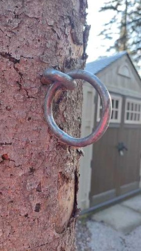 3 Timber Crescent, Sundre, AB 