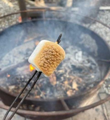 3 Timber Crescent, Sundre, AB 