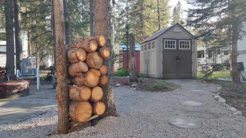 3 Timber Crescent, Sundre, AB 