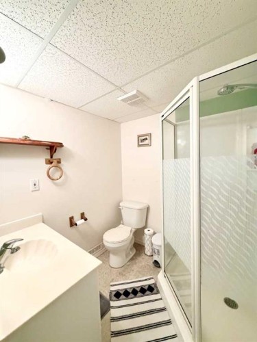 202 2 Avenue Ne, Linden, AB - Indoor Photo Showing Bathroom