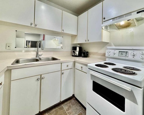 208C-5601 Dalton Drive Nw, Calgary, AB - Indoor Photo Showing Kitchen With Double Sink