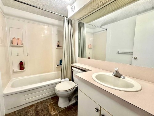 208C-5601 Dalton Drive Nw, Calgary, AB - Indoor Photo Showing Bathroom