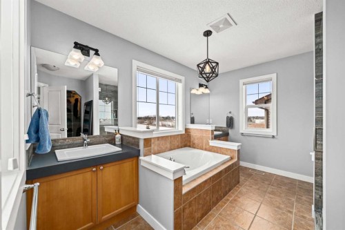 102 Morningside Point Sw, Airdrie, AB - Indoor Photo Showing Bathroom