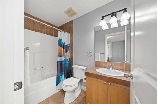 102 Morningside Point Sw, Airdrie, AB - Indoor Photo Showing Bathroom