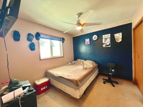 4723 50 Avenue, Irma, AB - Indoor Photo Showing Bedroom