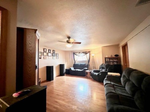 4723 50 Avenue, Irma, AB - Indoor Photo Showing Living Room