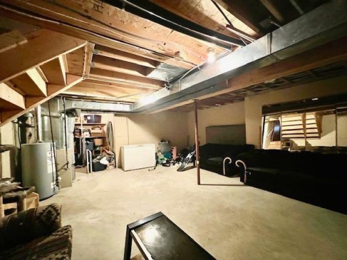 4723 50 Avenue, Irma, AB - Indoor Photo Showing Basement