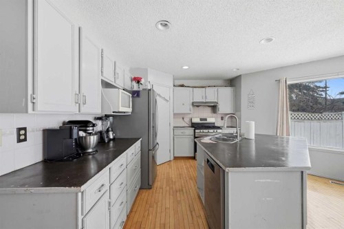 64 Eldorado Close Ne, Calgary, AB - Indoor Photo Showing Kitchen