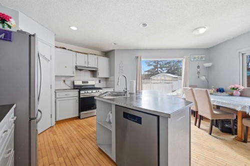 64 Eldorado Close Ne, Calgary, AB - Indoor Photo Showing Kitchen