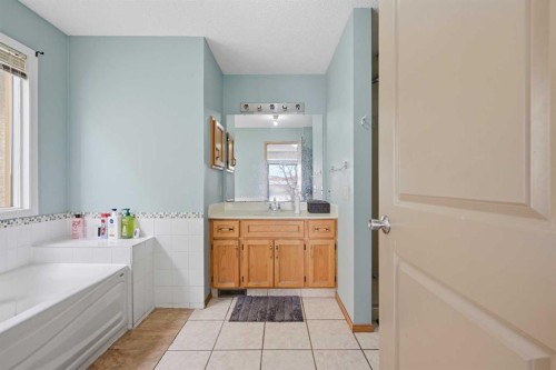 64 Eldorado Close Ne, Calgary, AB - Indoor Photo Showing Bathroom