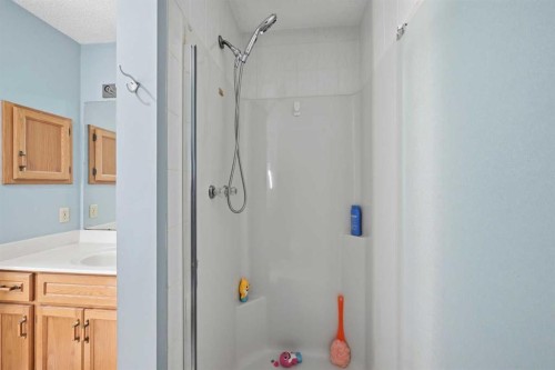 64 Eldorado Close Ne, Calgary, AB - Indoor Photo Showing Bathroom