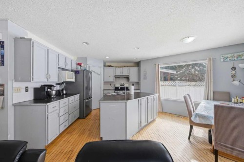 64 Eldorado Close Ne, Calgary, AB - Indoor Photo Showing Kitchen With Double Sink