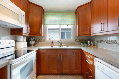 1133 Berkley Drive Nw, Calgary, AB - Indoor Photo Showing Kitchen With Double Sink