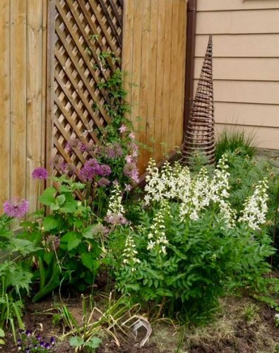 1133 Berkley Drive Nw, Calgary, AB - Outdoor