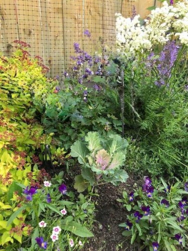 1133 Berkley Drive Nw, Calgary, AB - Outdoor