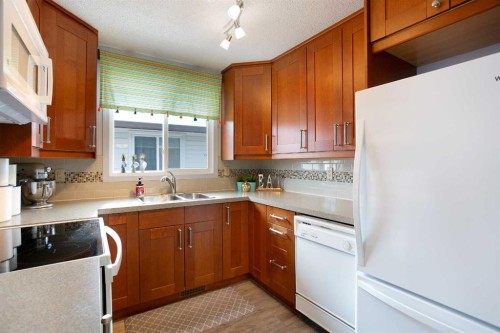 1133 Berkley Drive Nw, Calgary, AB - Indoor Photo Showing Kitchen With Double Sink