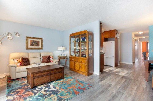 1133 Berkley Drive Nw, Calgary, AB - Indoor Photo Showing Living Room