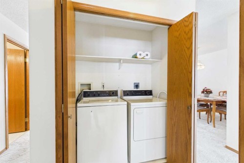 115 Macewan Park Heights Nw, Calgary, AB - Indoor Photo Showing Laundry Room