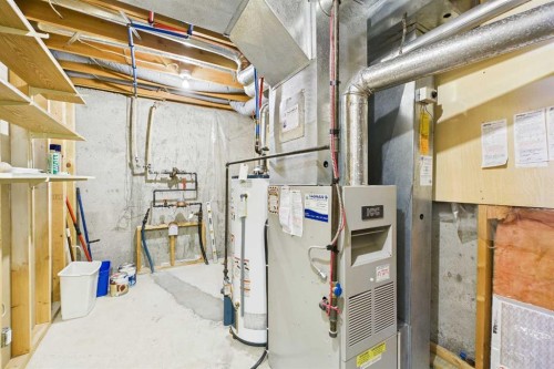 115 Macewan Park Heights Nw, Calgary, AB - Indoor Photo Showing Basement