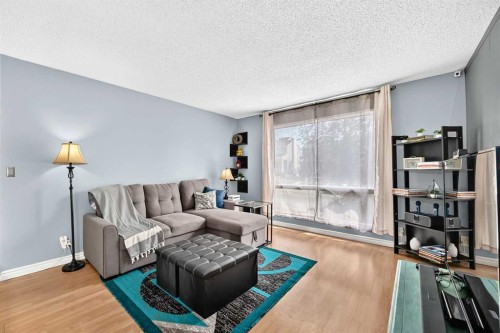 3321 56 Street Ne, Calgary, AB - Indoor Photo Showing Living Room