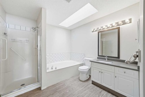 59 Sunlake Close Se, Calgary, AB - Indoor Photo Showing Bathroom