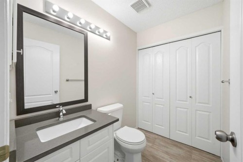 59 Sunlake Close Se, Calgary, AB - Indoor Photo Showing Bathroom