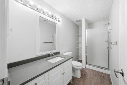 59 Sunlake Close Se, Calgary, AB - Indoor Photo Showing Bathroom