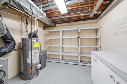 59 Sunlake Close Se, Calgary, AB - Indoor Photo Showing Basement