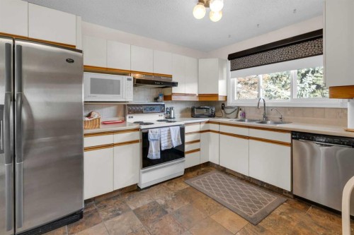 6004 Maddock Drive Ne, Calgary, AB - Indoor Photo Showing Kitchen With Double Sink