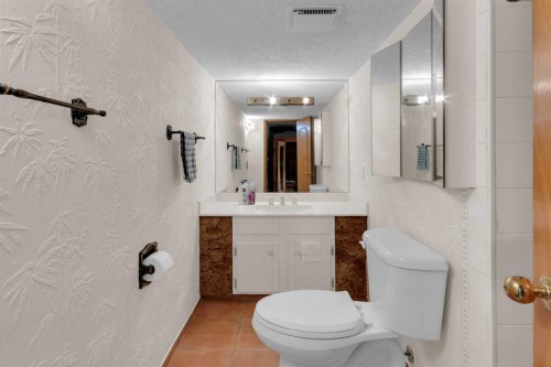 6004 Maddock Drive Ne, Calgary, AB - Indoor Photo Showing Bathroom