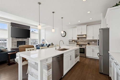 293 Boulder Creek Crescent, Langdon, AB - Indoor Photo Showing Kitchen With Fireplace With Stainless Steel Kitchen With Double Sink With Upgraded Kitchen