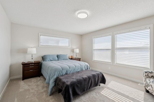 293 Boulder Creek Crescent, Langdon, AB - Indoor Photo Showing Bedroom