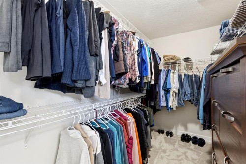 293 Boulder Creek Crescent, Langdon, AB - Indoor With Storage