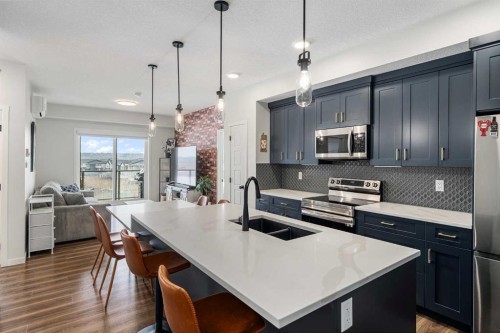 1306-42 Cranbrook Gardens Se, Calgary, AB - Indoor Photo Showing Kitchen With Stainless Steel Kitchen With Double Sink With Upgraded Kitchen