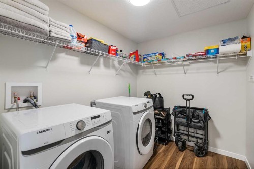 1306-42 Cranbrook Gardens Se, Calgary, AB - Indoor Photo Showing Laundry Room