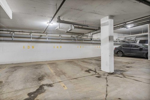 1306-42 Cranbrook Gardens Se, Calgary, AB - Indoor Photo Showing Garage