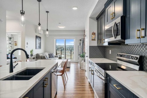 1306-42 Cranbrook Gardens Se, Calgary, AB - Indoor Photo Showing Kitchen With Stainless Steel Kitchen With Double Sink With Upgraded Kitchen