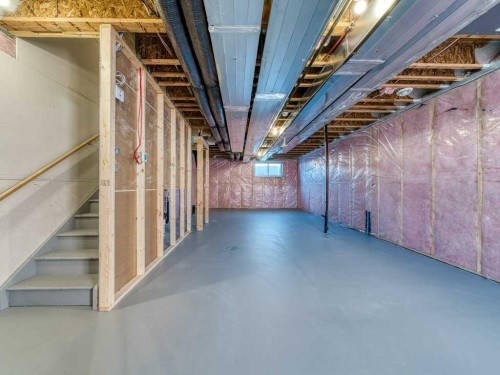 105 Creekstone Manor Sw, Calgary, AB - Indoor Photo Showing Basement