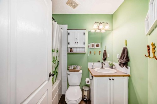 69 Canals Circle Sw, Airdrie, AB - Indoor Photo Showing Bathroom