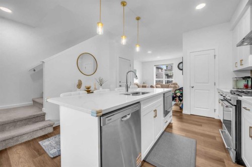 84 Savanna Place Ne, Calgary, AB - Indoor Photo Showing Kitchen With Double Sink With Upgraded Kitchen