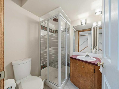 237 28 Avenue Nw, Calgary, AB - Indoor Photo Showing Bathroom
